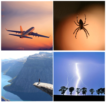 Plusieurs images représentant plusieurs types de phobies en l'occurrence peur de l'avion, du vide, de l'orage et des araignées