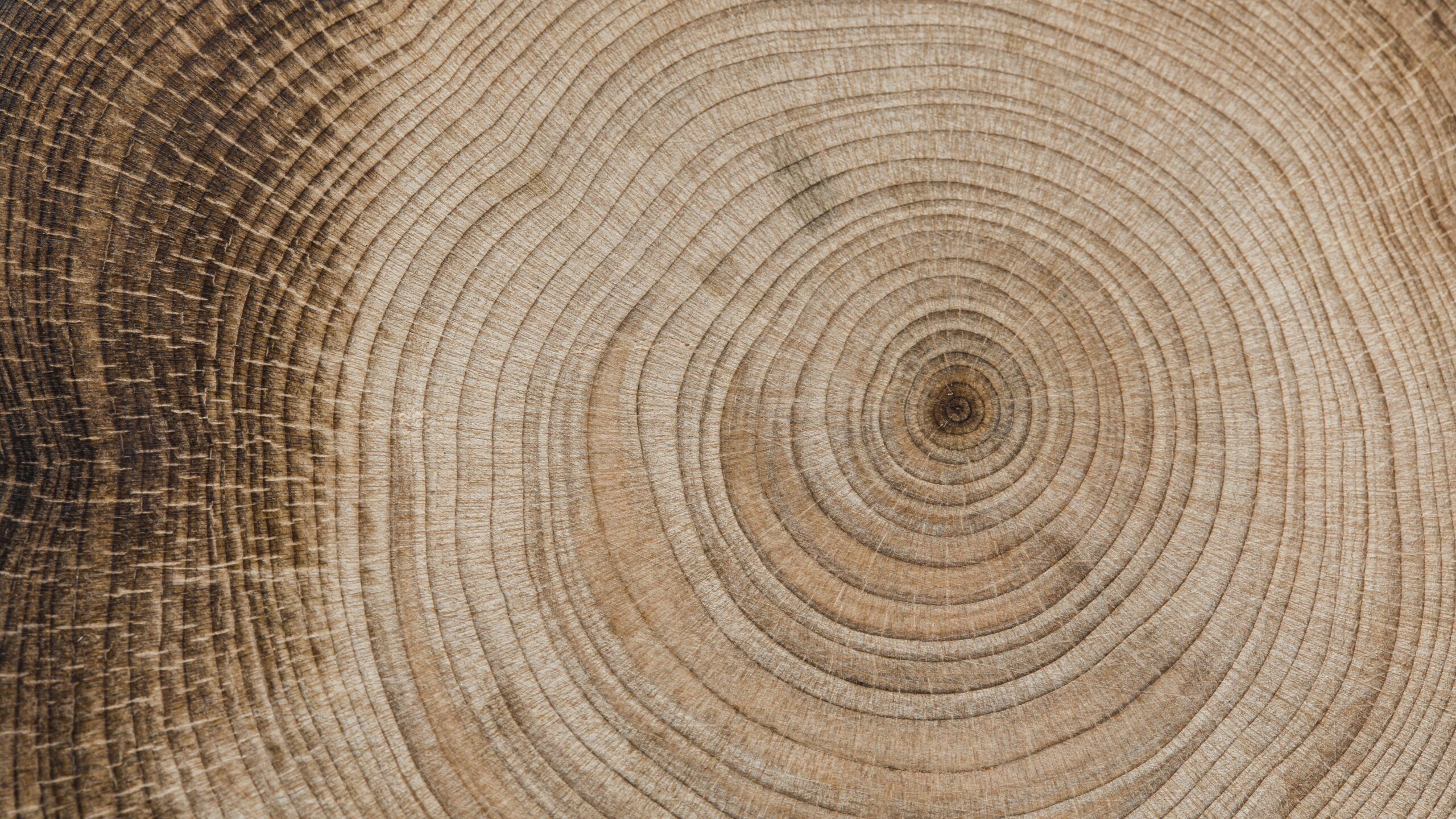 Image représentant un rondin de bois avec un spiral pouvant nous faire penser à l'hypnose